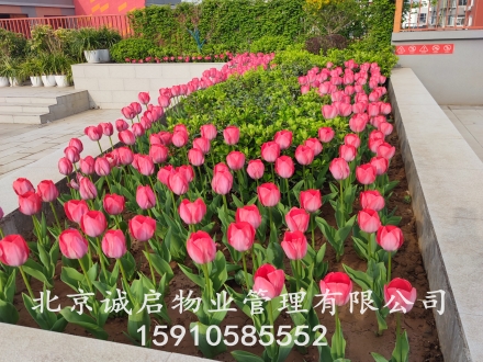 绿化种植及养护